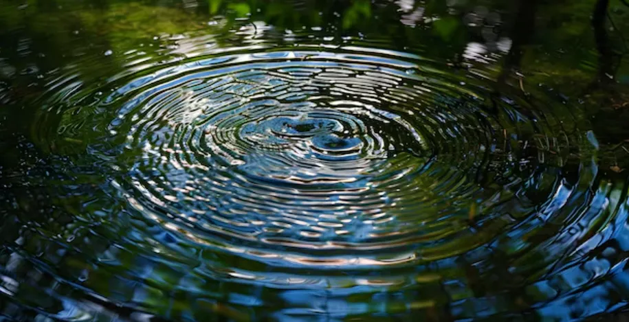 ripples_reflection.png